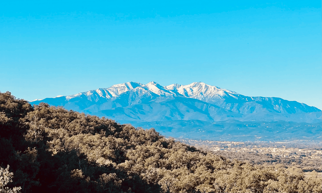 Massif du Canigou vu des Albères